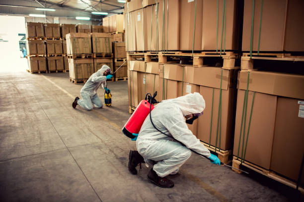 Best Pest Removal Services  in Yuma, CO