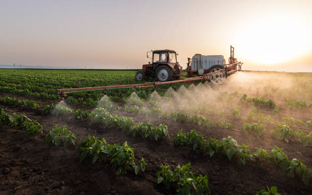 Pest Prevention Services in Yuma, CO