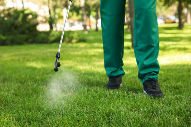 Best Best Pest Control Companies  in Yuma, CO
