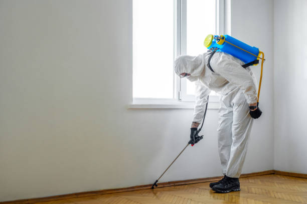 Reliable Yuma, CO Pest Control Solutions