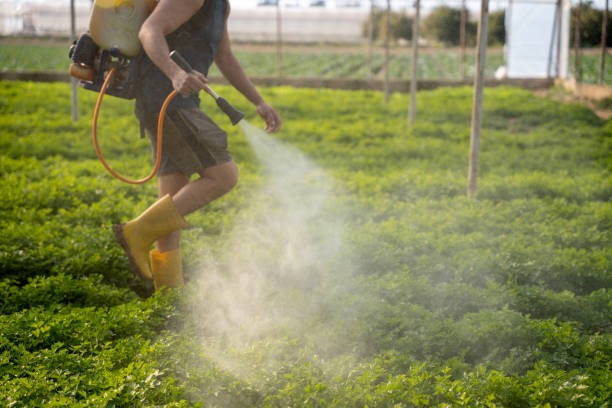  Yuma, CO Pest Control Pros