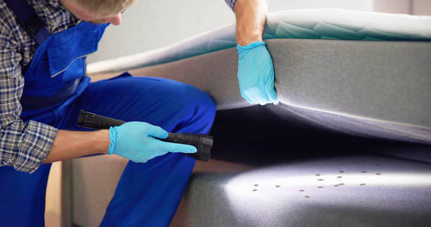 Best Exterminator Services  in Yuma, CO