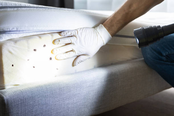 Best Pest Inspection Near Me  in Yuma, CO