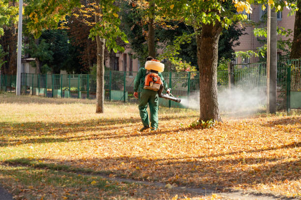 Best Mosquito Control Services  in Yuma, CO